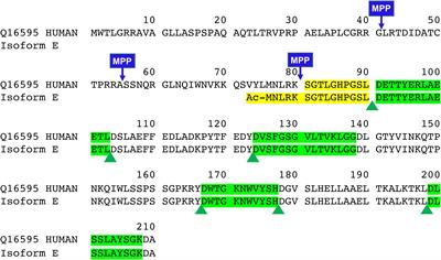 Simultaneous Quantification of Mitochondrial Mature Frataxin and Extra-Mitochondrial Frataxin Isoform E in Friedreich’s Ataxia Blood